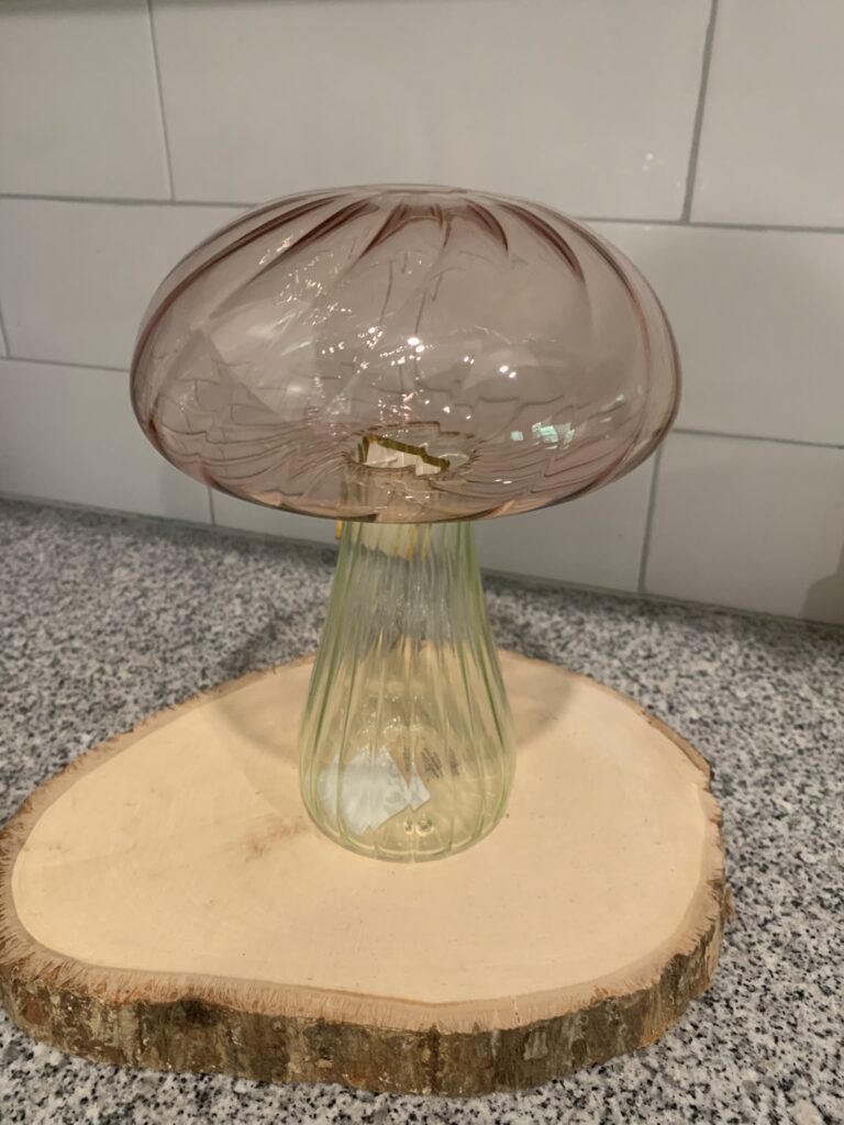 DIY Mushroom Decor